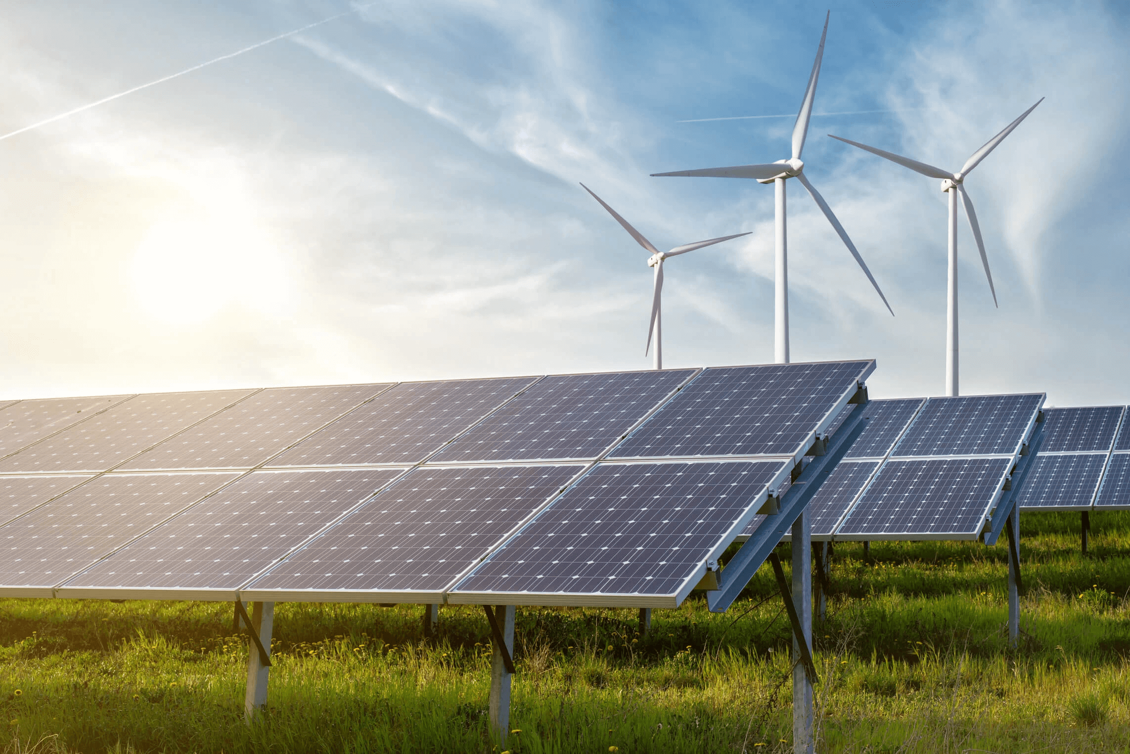 ONSA Plus is a proud provider of ecological solutions and services